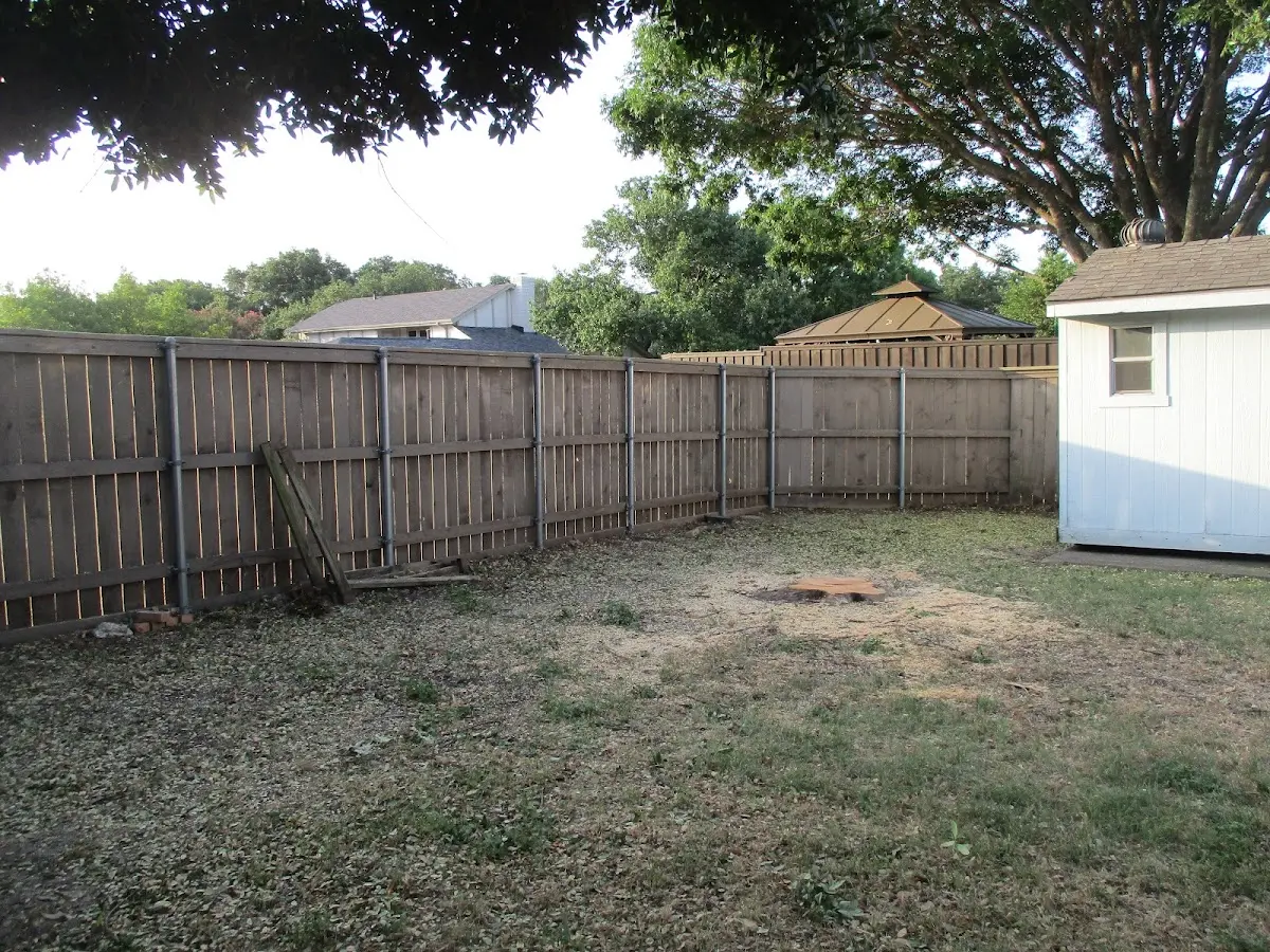 Cleared yard after professional tree removal in Fairfax